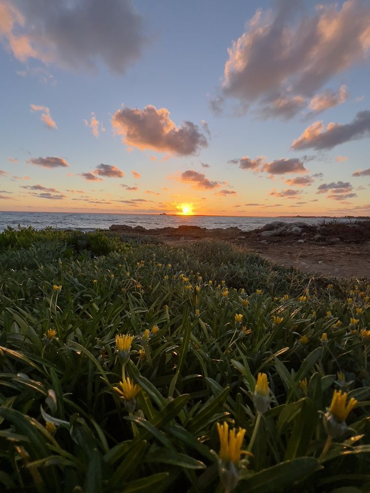 Photograph by Шестакова Наталья