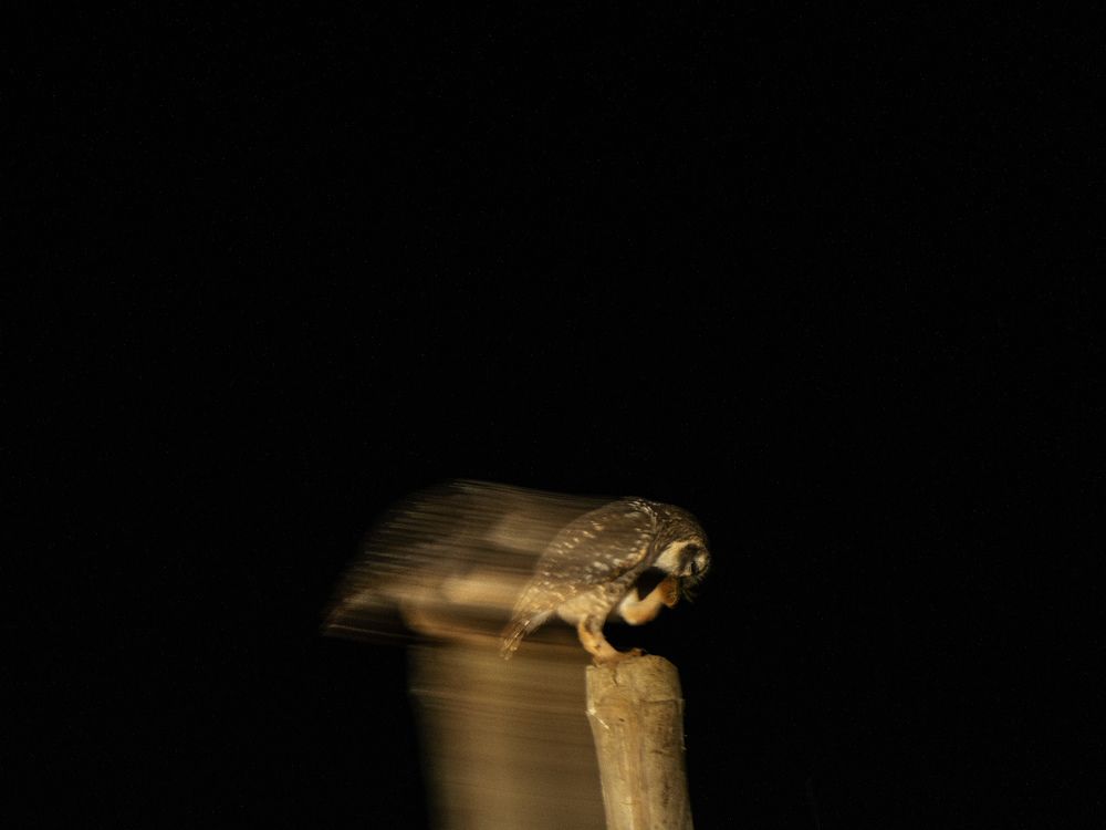 Photograph by Abhisek Bagaria