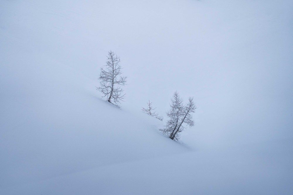 Photograph by Markus Albert