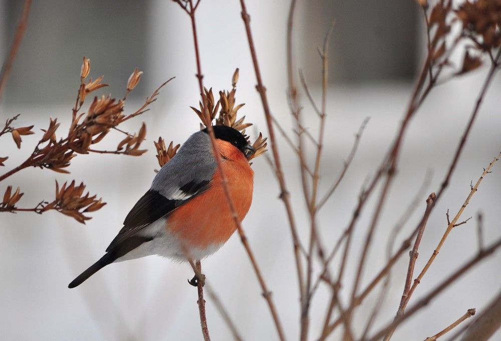 Photograph by Наталья Сорокина