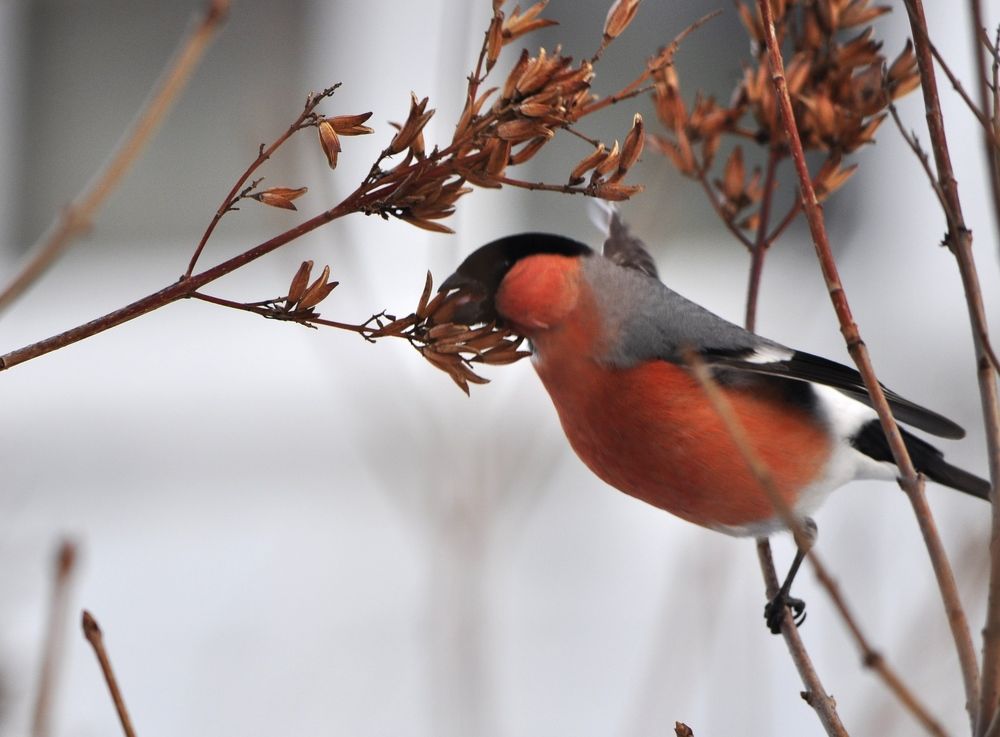 Photograph by Наталья Сорокина