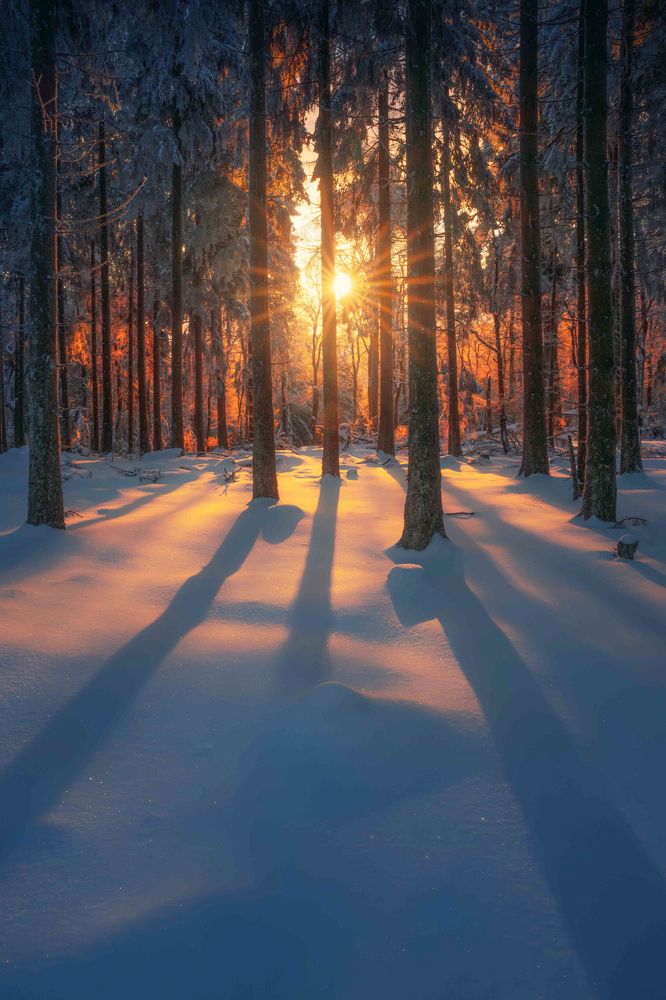 Photograph by Markus Albert