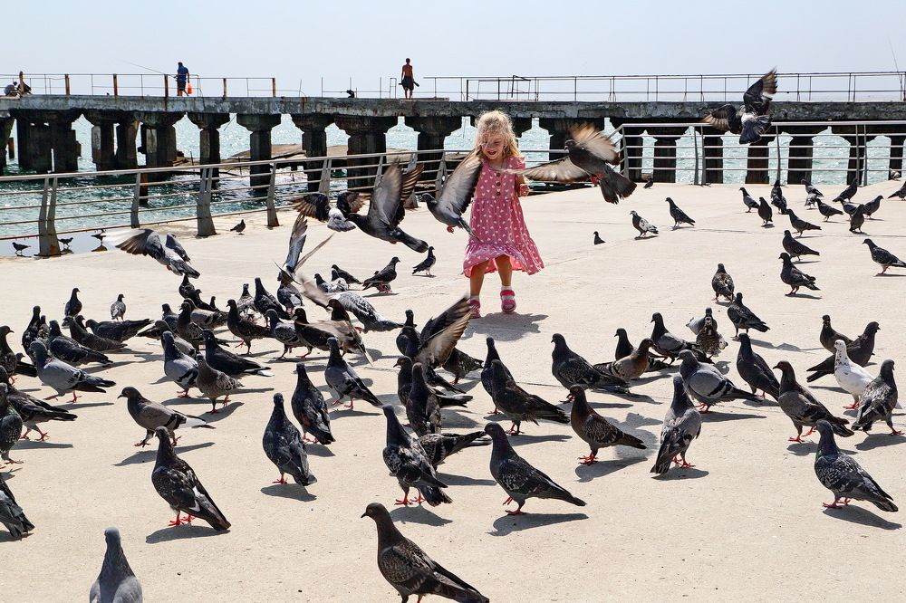 Фотография автора Александр Челмодеев