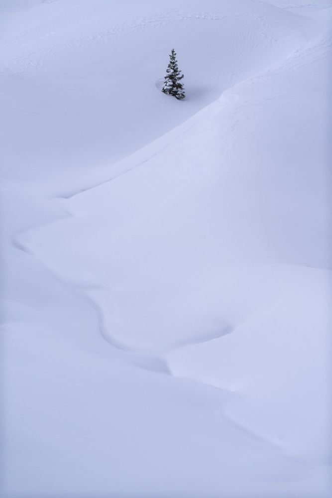 Photograph by Markus Albert