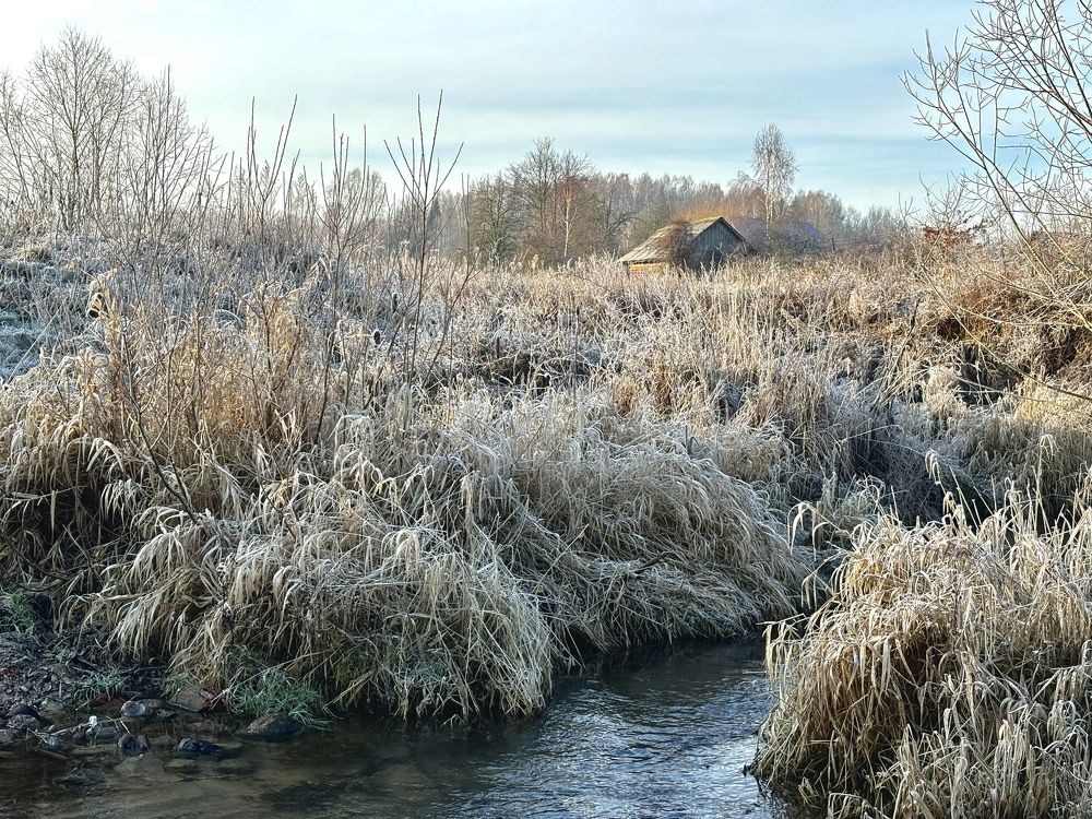 Photograph by Светлана Маримонова