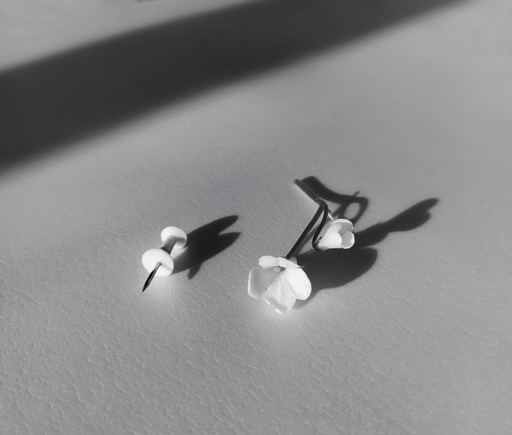 Photograph by Оксана Лоншакова