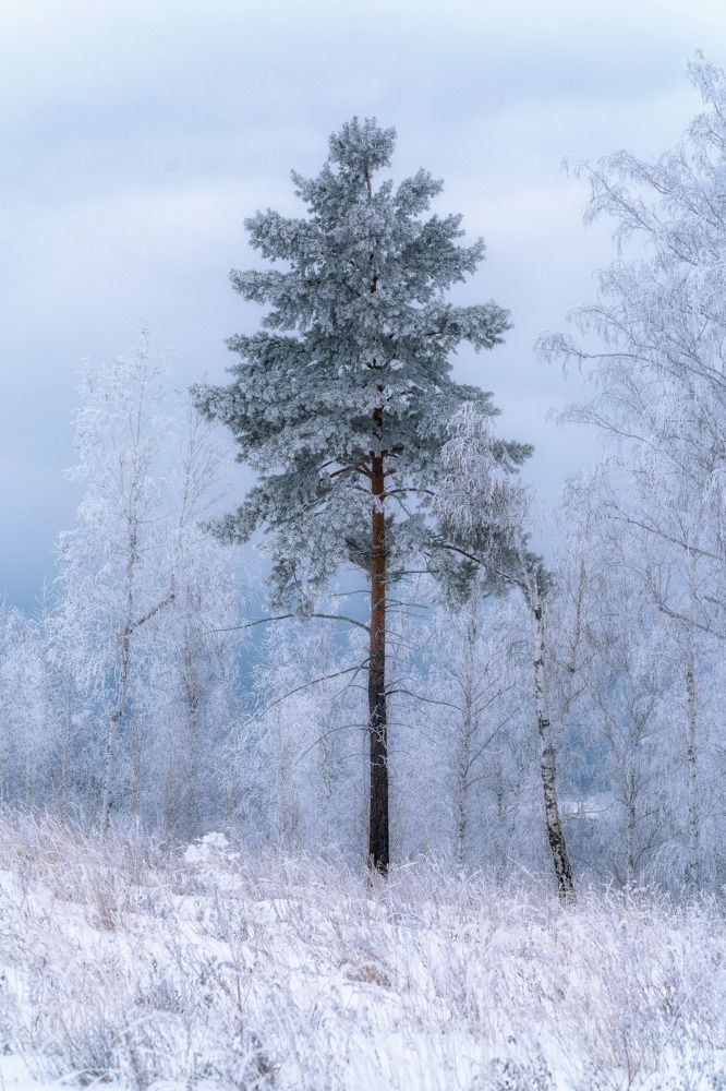 Photograph by Анастасия Глазюк