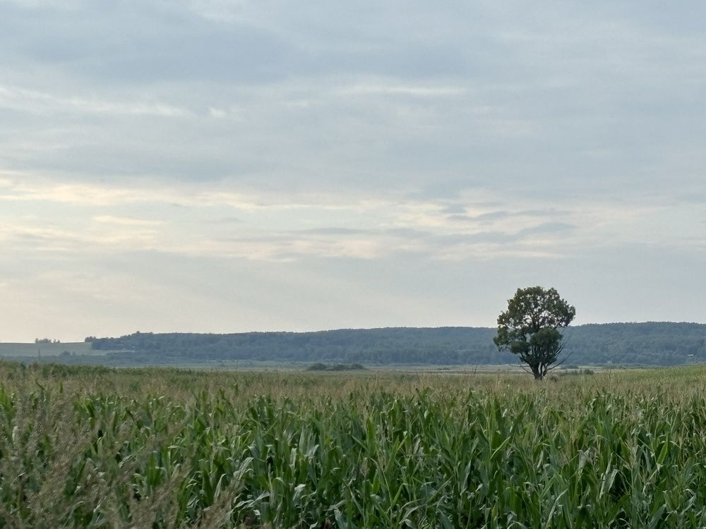 Photograph by Светлана Маримонова