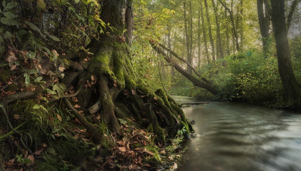 Photograph by Silyavin Nikita