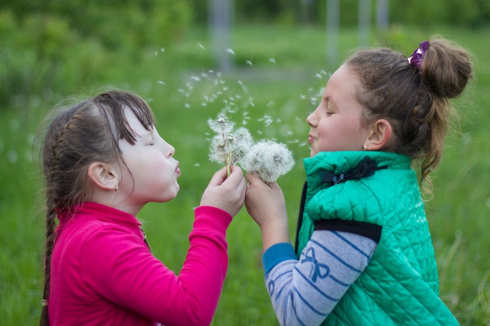 Photograph by Дина Горбачёва