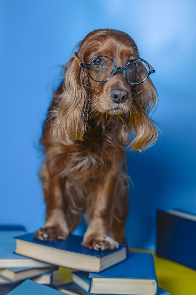 Photograph by Victoria Mogulyan