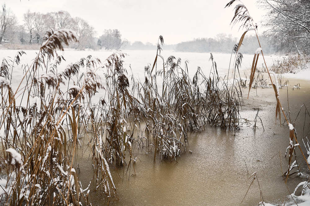 Photograph by Kaspars Mitulis