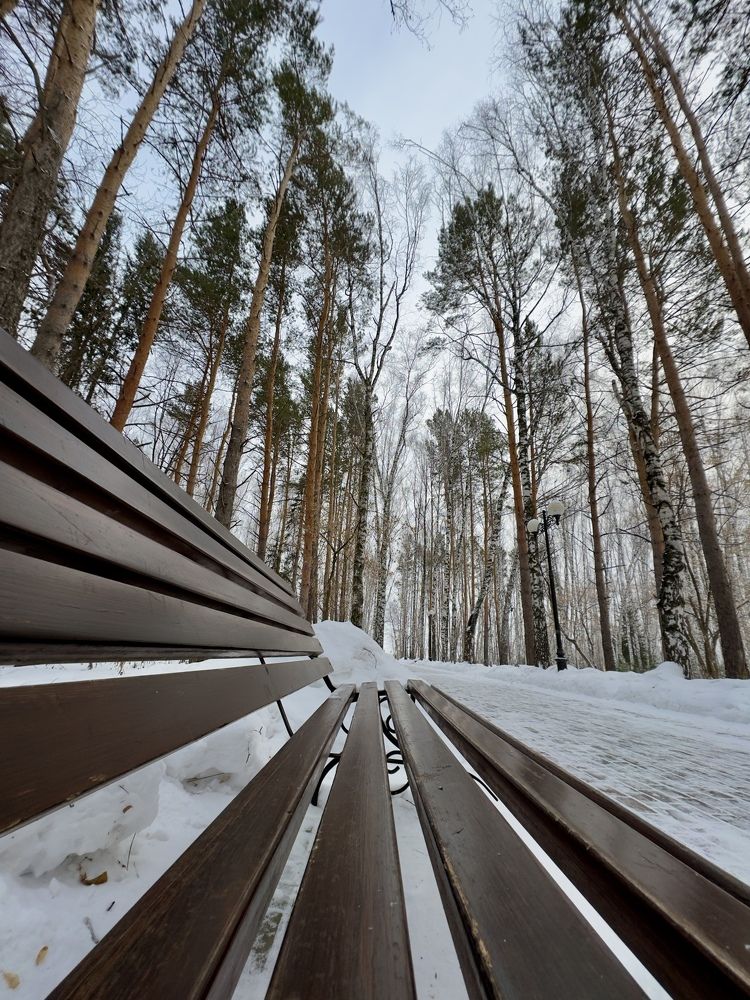 Photograph by Дмитрий Бобровский