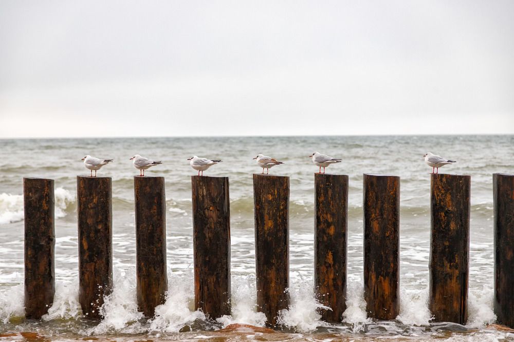 Photograph by Виталий Новиков