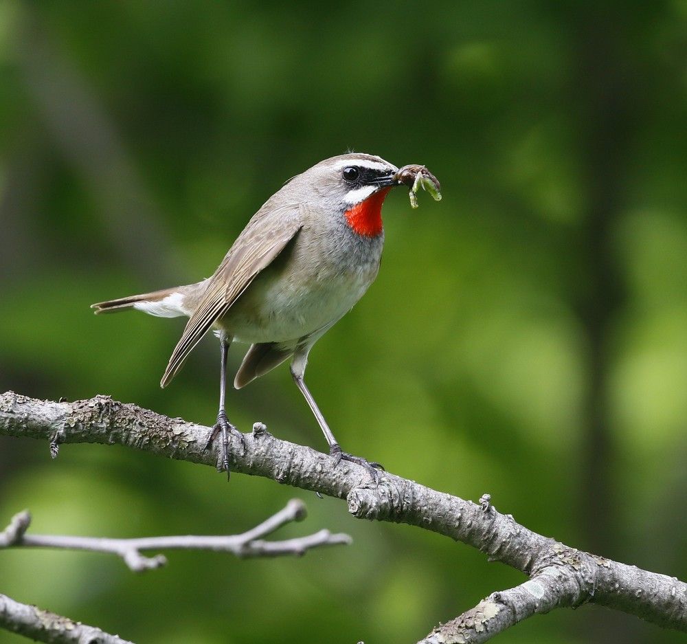 Photograph by Наталья Турчик