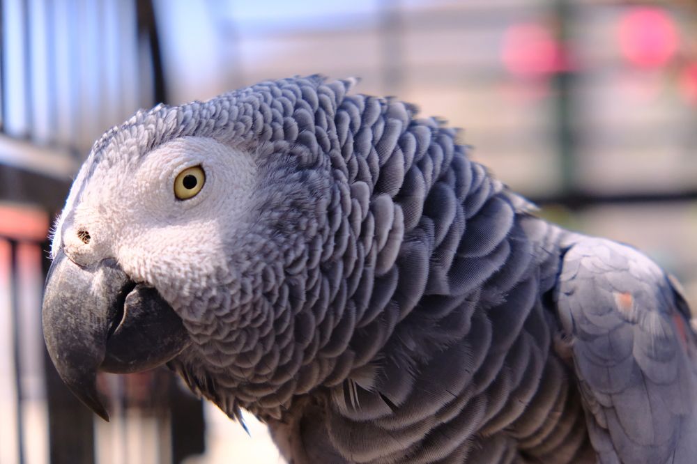 Photograph by Effie Zacharia