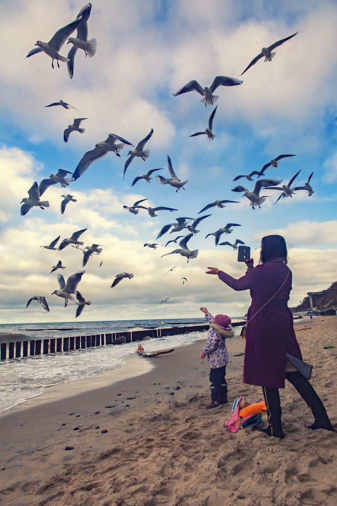 Photograph by Виталий Новиков