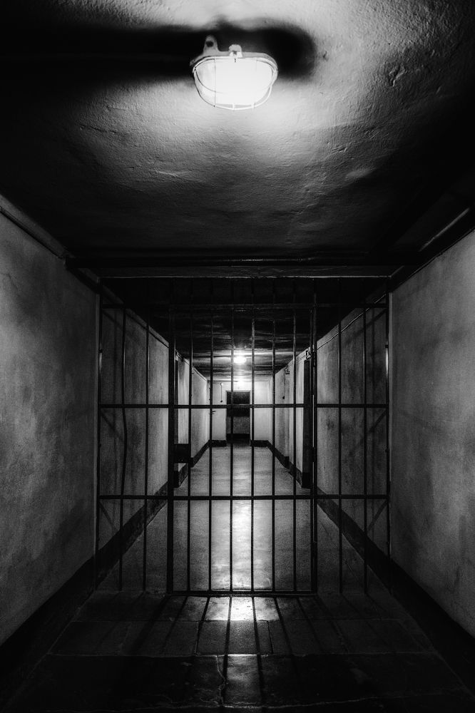 Corridor of Shadows – The Silence of Confinement