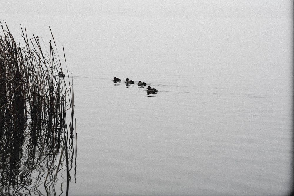 Photograph by Ксения Шилина