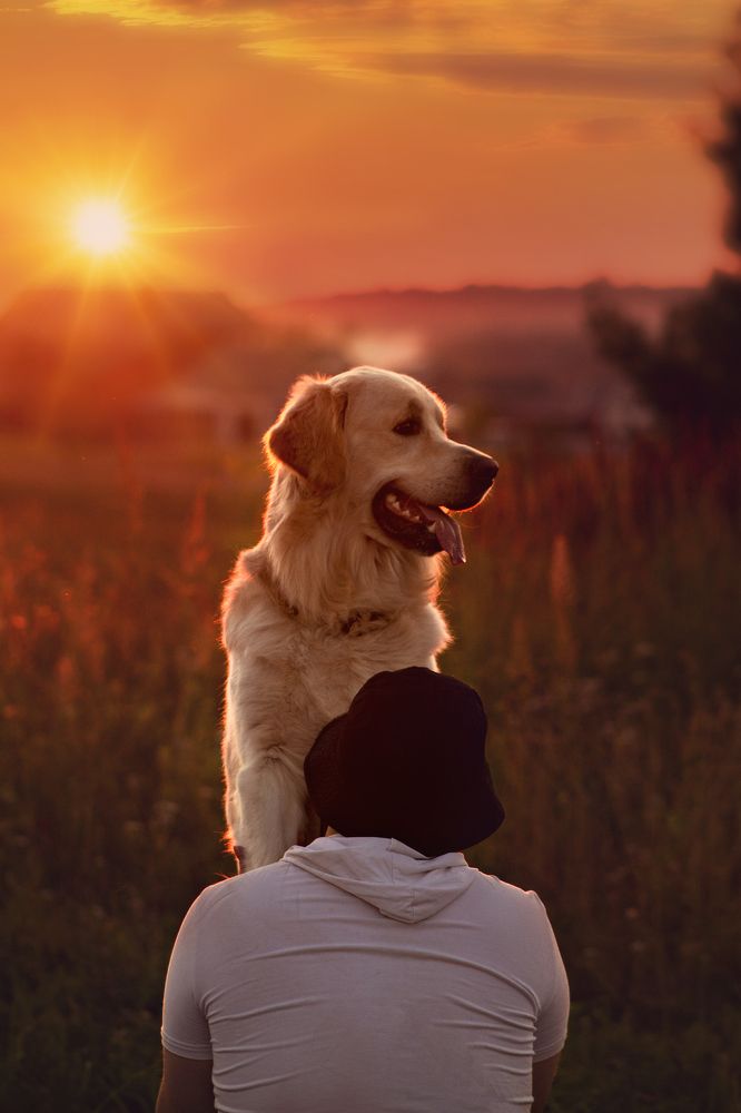 Photograph by Оксана Чиняева