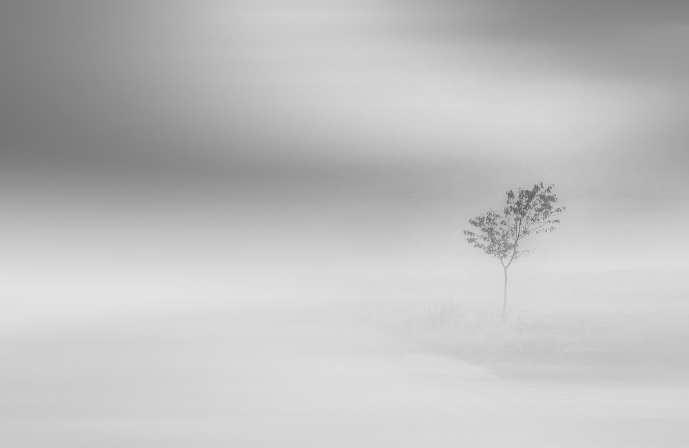 Photograph by Magdalena Kolenicova