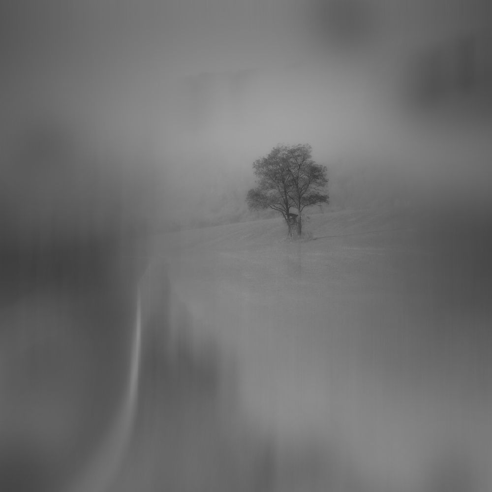 Photograph by Magdalena Kolenicova