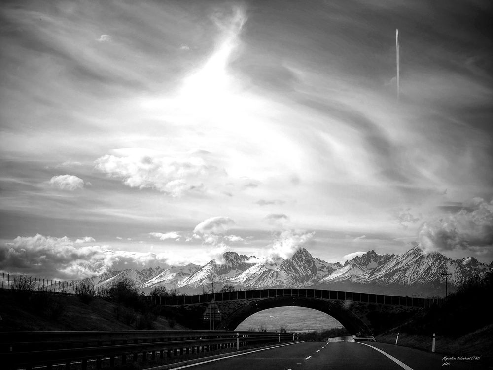 Photograph by Magdalena Kolenicova