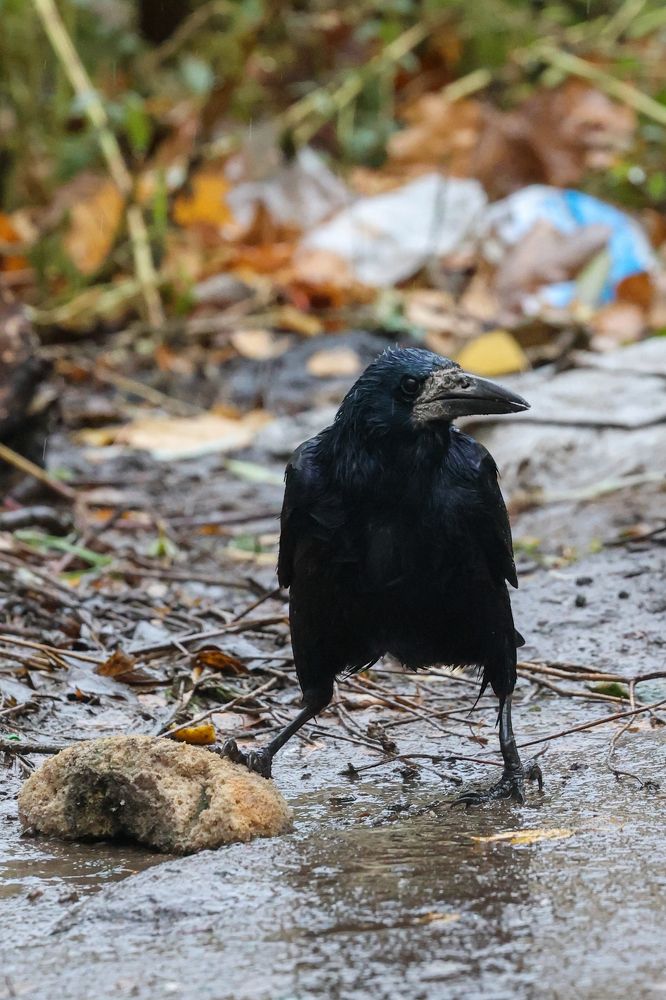 Photograph by Данила Назаров