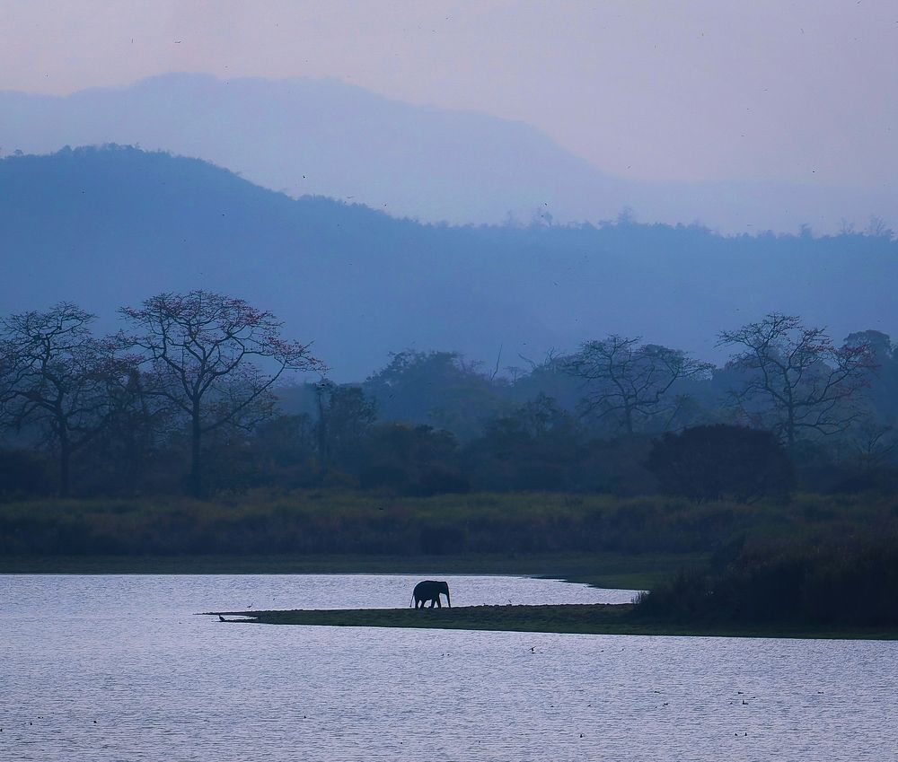Photograph by AVIJIT KONER