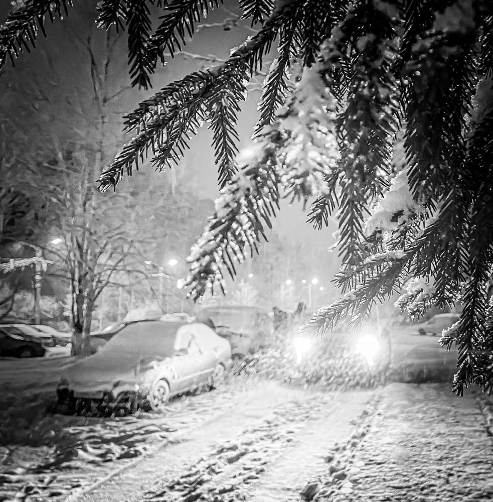 Photograph by Nikolai Osokin