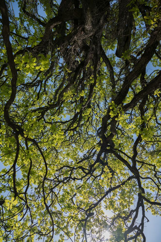 Photograph by Рогалева Анна Викторовна