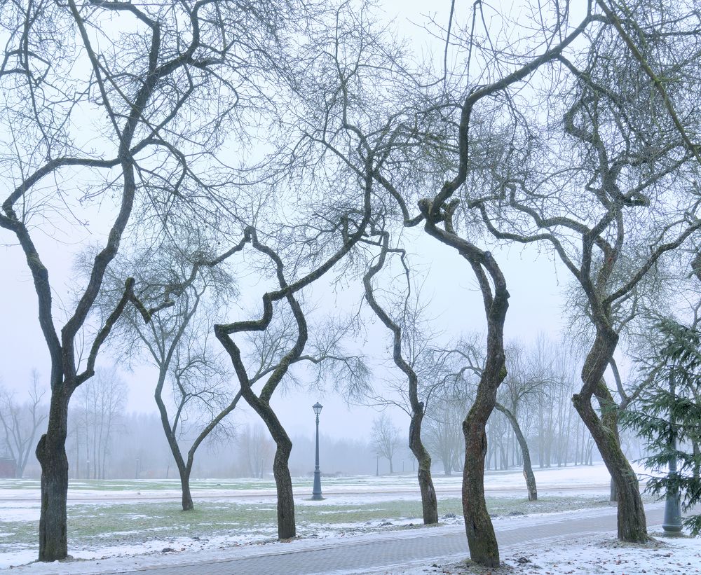 Photograph by Андрей Семенков