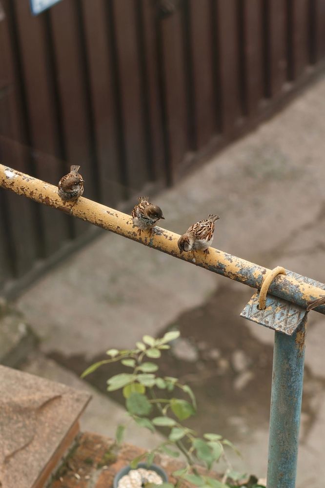 Photograph by Анастасия Лидяева