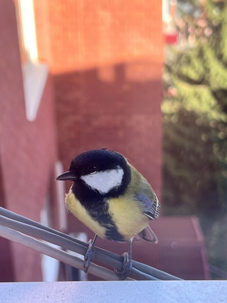 Photograph by Алина Волгина