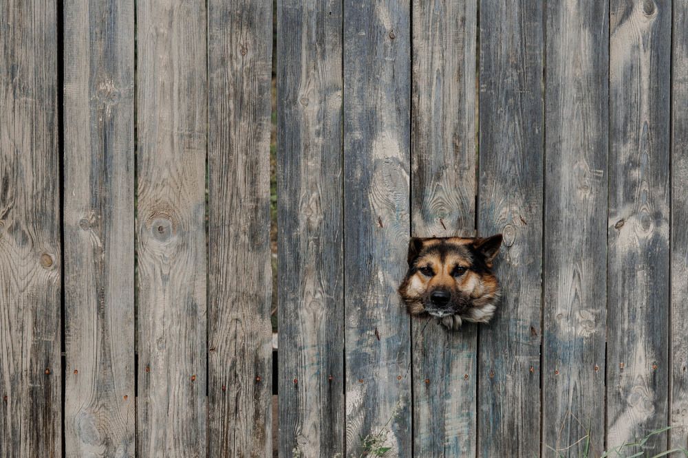 Photograph by Ирина Шарова