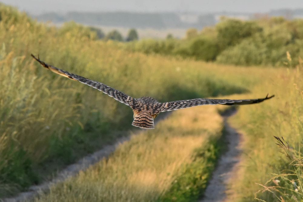 Photograph by Наталья Сорокина