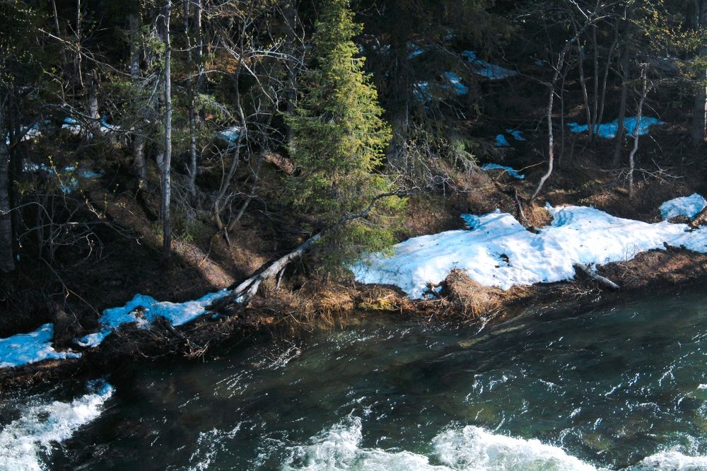 Photograph by Анна