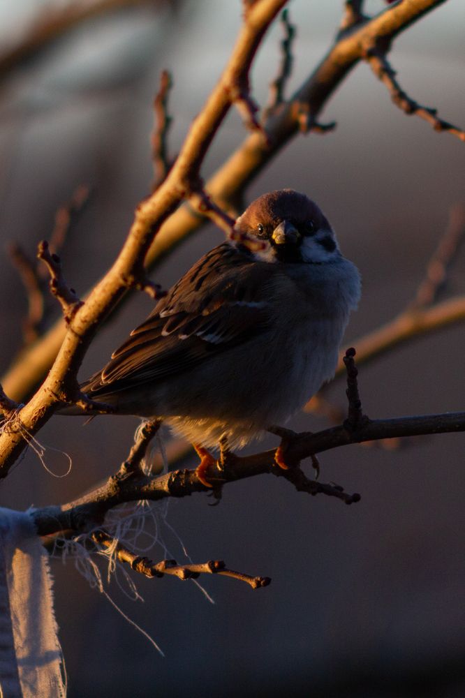 Photograph by Богдан