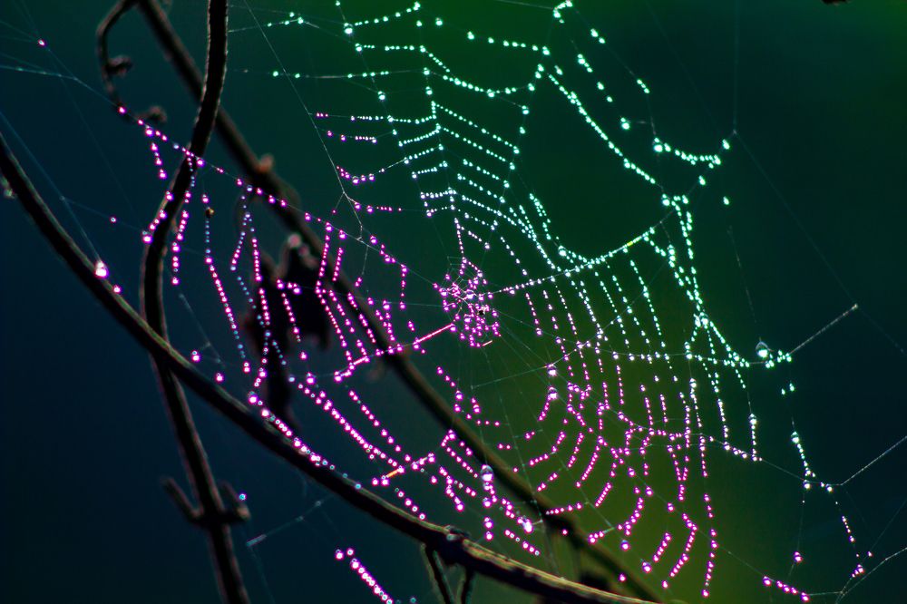 Photograph by Богдан