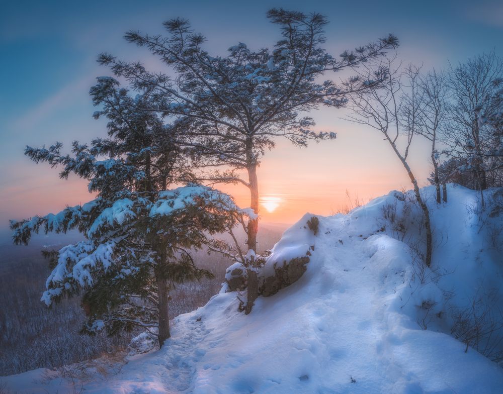 Photograph by Новиков Александр