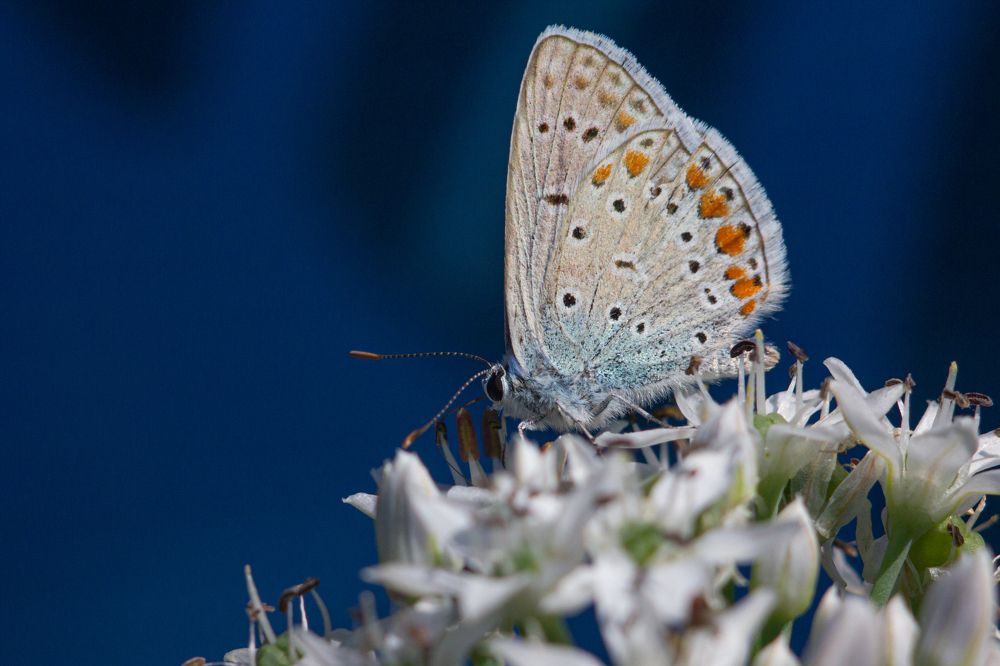 Photograph by Богдан