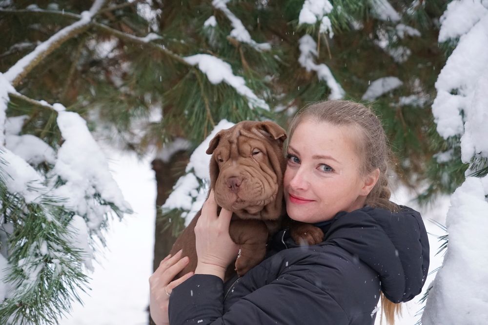 Photograph by Алексей Курносов