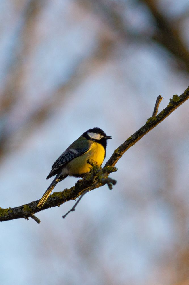 Photograph by Богдан