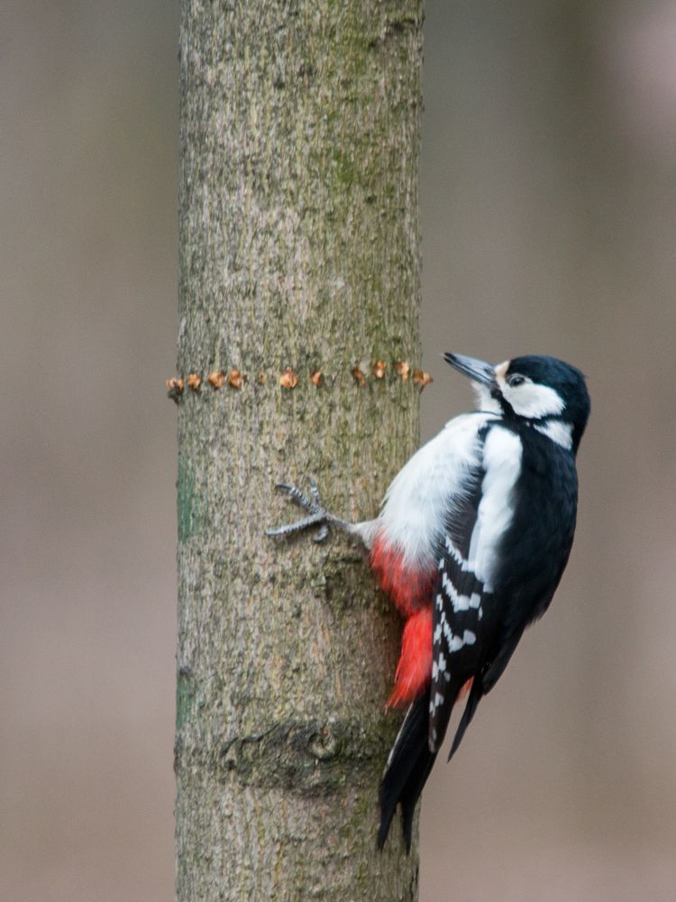 Photograph by Тимофей Черепанов