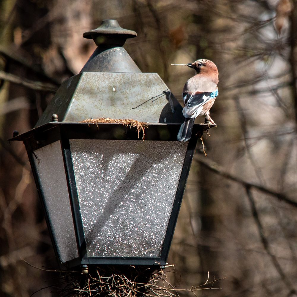 Photograph by Тимофей Черепанов