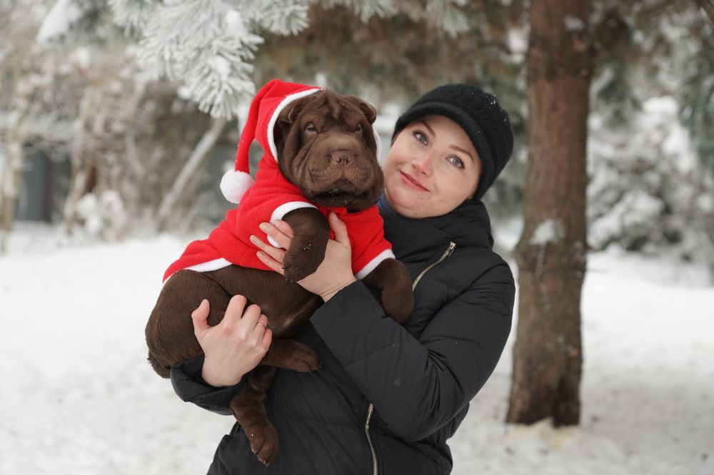 Photograph by Алексей Курносов