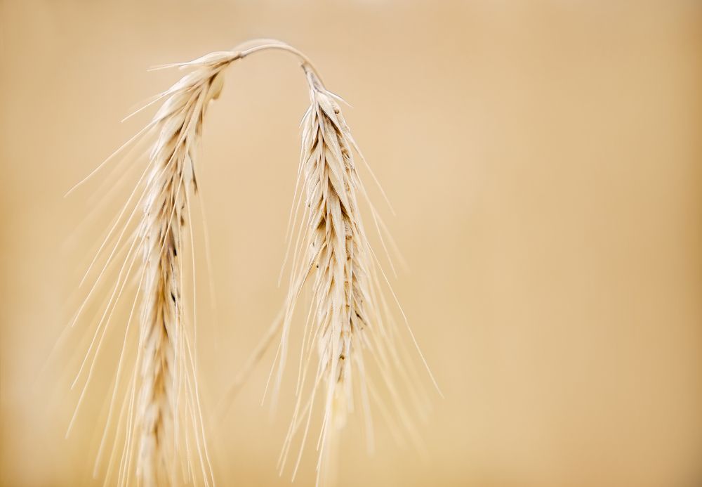 Photograph by Рогалева Анна Викторовна