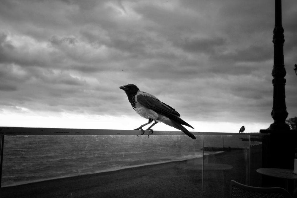 Photograph by Зорин Миша