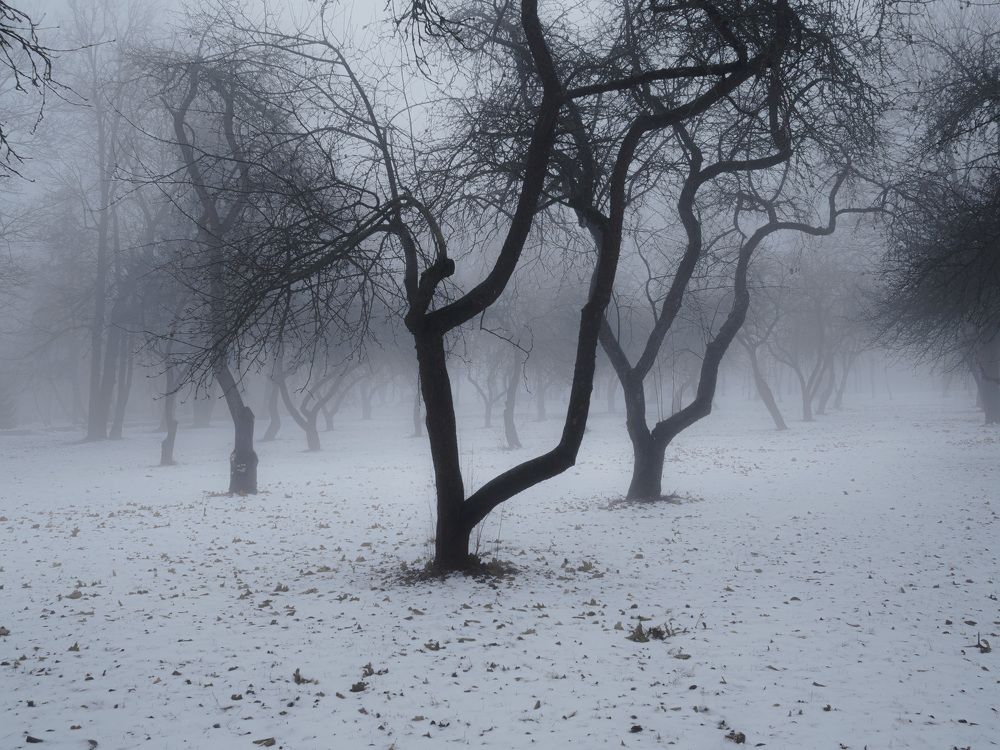 Фотография автора Врубель Андрей