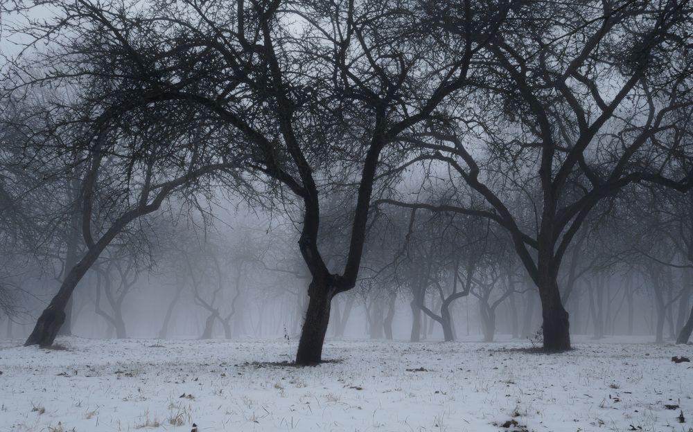 Фотография автора Врубель Андрей